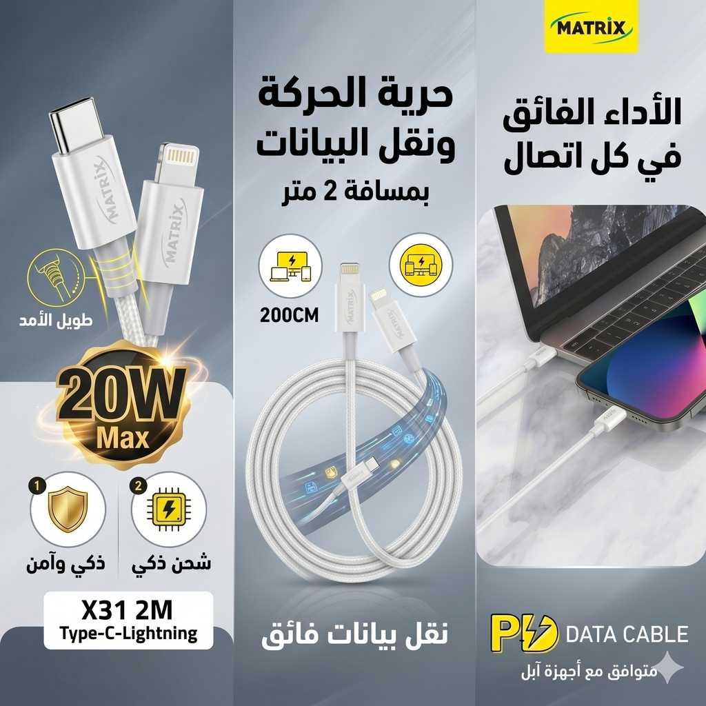 X31 Charging Cable