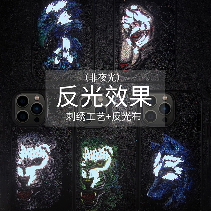 Cases,13pro